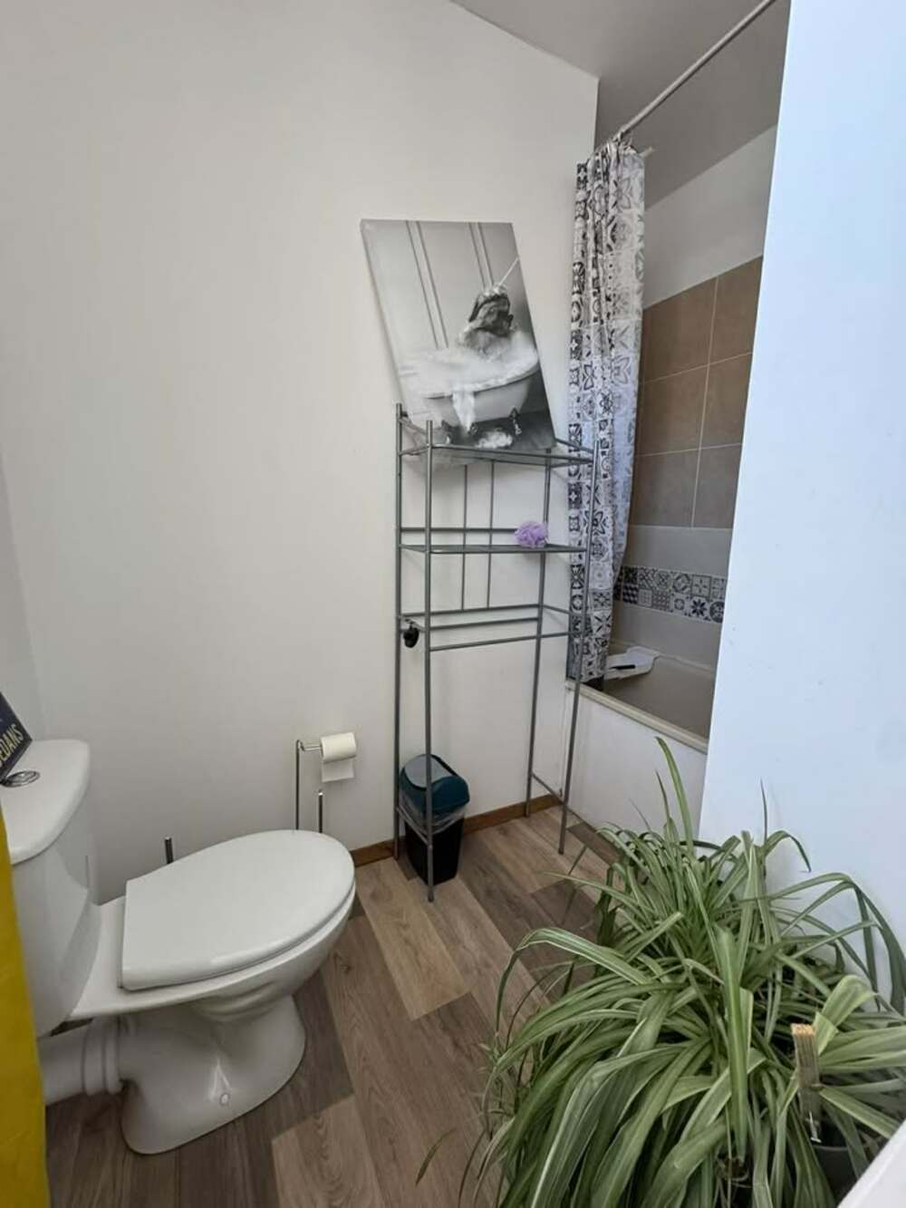 Property view 4